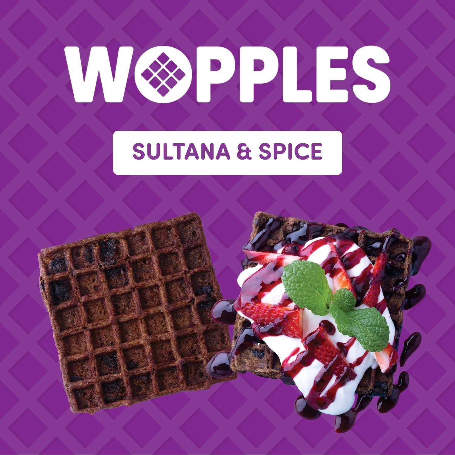 Wopples Sultana & Spice 320g (Pack of 8)